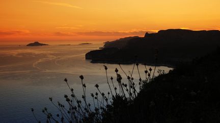 &nbsp; (Le parc national des Calanques. © MaxPPP)