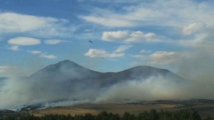 D'importants moyens a&eacute;riens ont &eacute;t&eacute; d&eacute;ploy&eacute;s pour lutter contre l'incendie. (FRANCE 3 LANGUEDOC ROUSSILLON / LM SDIS 66)