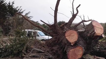 Intempéries : la solidarité s'organise sur l'île d'Yeu (france 2)