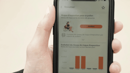 Un tiers des adultes sont allergiques au pollen. Afin d’éviter une surexposition, une nouvelle application permet de connaître en temps réel la quantité des pollens dans l'air. (France 2)