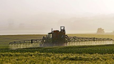 Atteint d'un cancer de la prostate, un agriculteur a porté plainte contre Monsanto. 