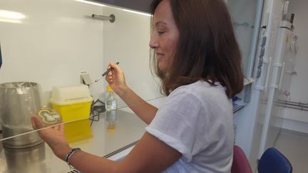 Dea Garcia-Hermoso, ingénieure de recherches à l'Institut Pasteur, identifie des champignons filamenteux (moisissures), le 29 septembre 2023. (SOLENNE LE HEN / RADIO FRANCE)