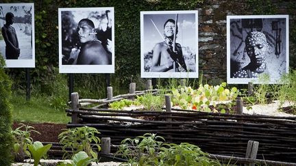 Le festival de photos de La Gacilly dans le Morbihan parle de nature dans la nature 
 (Dominique Rolland)