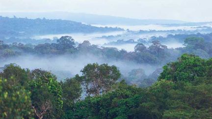 Guyane : contamination des populations au plomb et au mercure