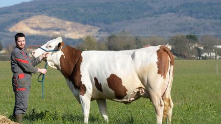 Un éleveur du GAEC (Groupement agricole d'exploitation en commun) des Genets pose avec sa vache de race Montbéliarde avant le salon de l'Agriculture 2019 (illustration). (PHOTO JEAN-PIERRE BALFIN / MAXPPP)