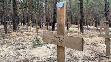 Les fosses communes dans la forêt d'Izioum en Ukraine.&nbsp; (BORIS LOUMAGNE / RADIO FRANCE / FRANCE INFO)