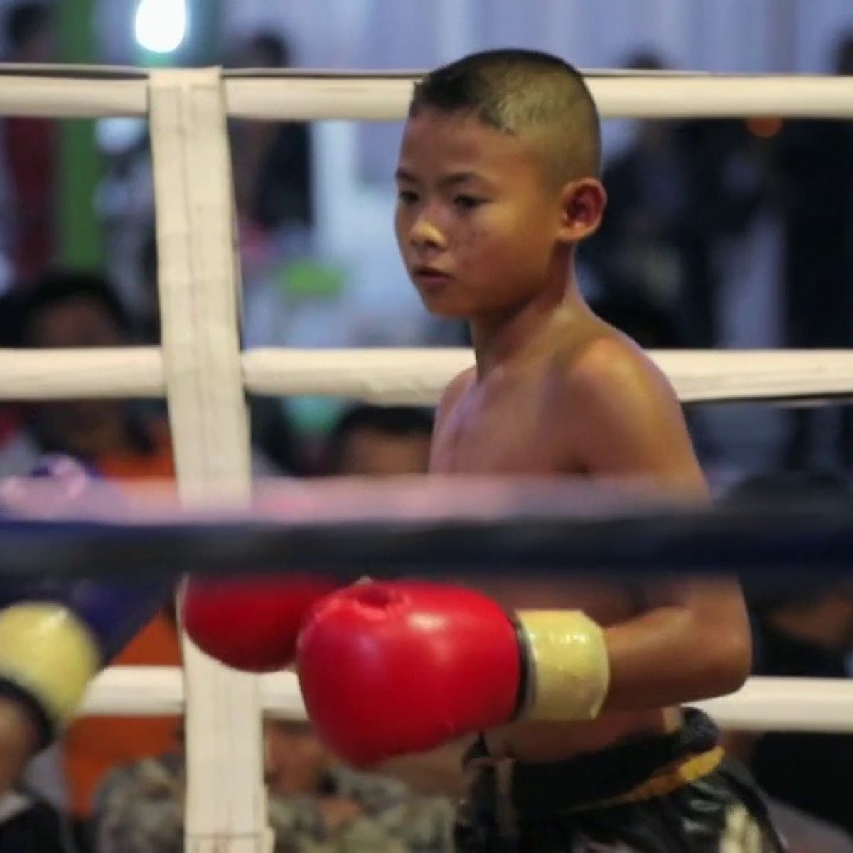 Sport. En Thaïlande, les enfants boxeurs doivent jeter l'éponge