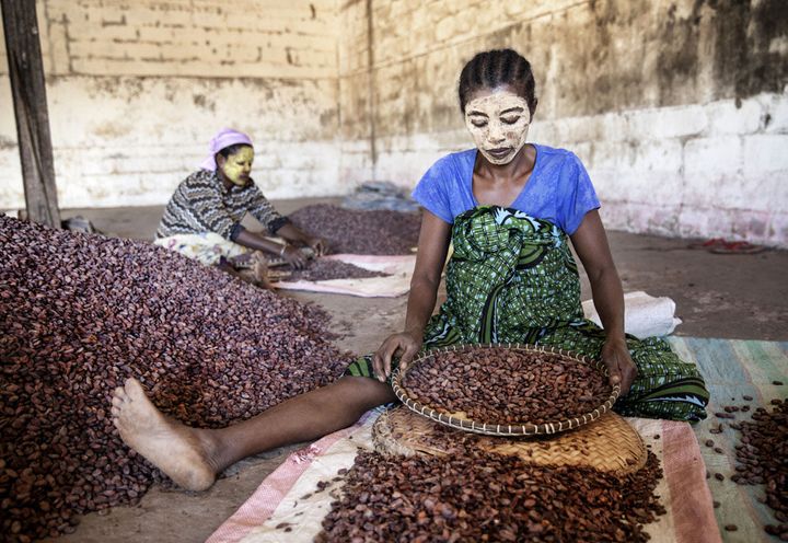 les fèves de cacao sont sélectionnées à la main par les femmes. (Géo  Giulio Di Sturco)