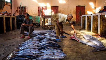 l’industrie de la pêche pourrait adopter la mise en conserve. Une façon de résoudre les problèmes de chaîne du froid, de conservation et de transport. (AFP PHOTO / AU-UN IST PHOTO / STUART PRICE)