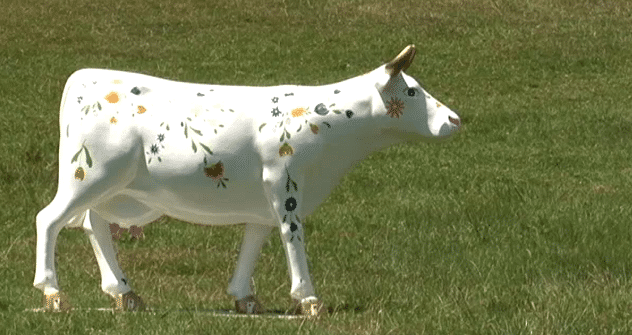 Une vache tendrement fleurie...
 (France 3)