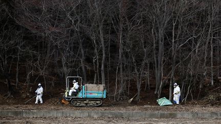 Catastrophe de Fukushima : six ans après, le retour des habitants