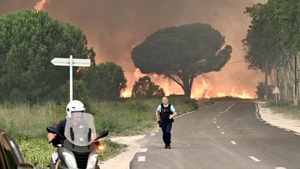 Un incendie s'est déclaré le 14 août 2023 à Saint-André dans les Pyrénées-Orientales. (MICHEL CLEMENTZ / MAXPPP)