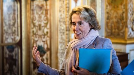 L'ex-ministre Caroline Cayeux, le 9 novembre 2022 à Paris. (XOSE BOUZAS / HANS LUCAS / AFP)