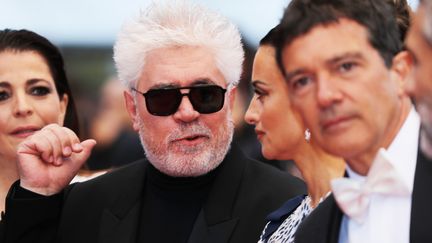 Le cinéaste espagnol Pedro Almodovar présente son nouveau film "Douleur et gloire". C'est la septième fois qu'il participe au festival de Cannes. (VALERY HACHE / AFP)