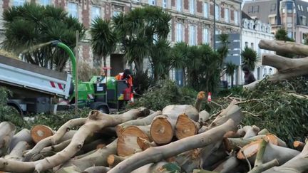 Tempête Gérard : un mort et de nombreux dégâts (FRANCE 3)