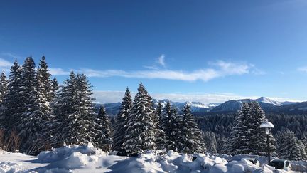 Paysage de neige au Mont Revard, La Féclaz (Savoie). (VALENTINE LETESSE / FRANCEINFO)