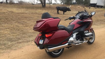 La nouvelle Goldwing, plus fine, plus élancée, plus légère. (SERGE MARTIN FRANCE INFO)