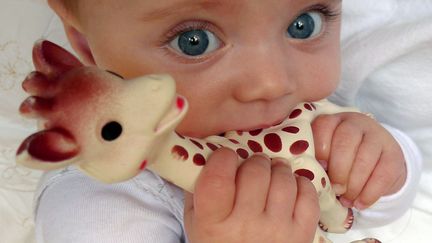 Sophie la Girafe, un petit animal en caoutchouc naturel, plébiscitée par les parents et adulée par tous les bébés, est reçue en cadeau de naissance depuis 60 ans. (AURELIA BAILLY / AFP)