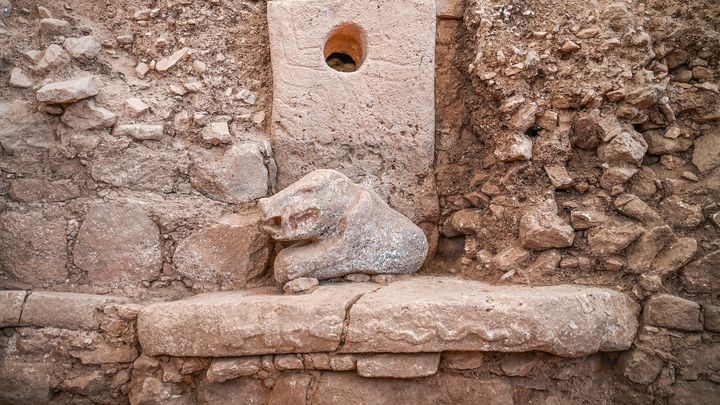 Sanglier polychrome d'1,20 m de long, 70 cm de hauteur: logé dans une niche trouvé sur le site archéologique de Gobeklitepe en Turquie le 9 octobre 2023 (OZAN KOSE / AFP)