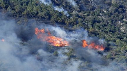 Vue aérienne de l'incendie qui sévit à la frontière franco-espagnole, le 5 août 2023. (RAYMOND ROIG / AFP)