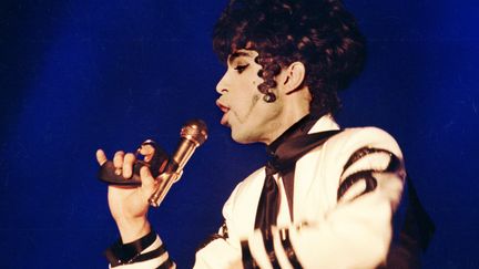 "Prince" en concert &agrave; Stocholm en 1993. (JUREK HOLZER  / TT NEWS AGENCY / AFP)