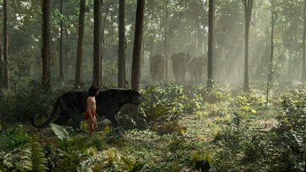 Neel Sethi (Mowgli) et la panthère Bagherra dans "Le Livre de la jungle" de Jon Favreau
 (The Walt Disney Company France )