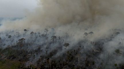 CARTE. Visualisez la flambée des incendies de végétation au Brésil, à quelques mois de la COP30 en Amazonie