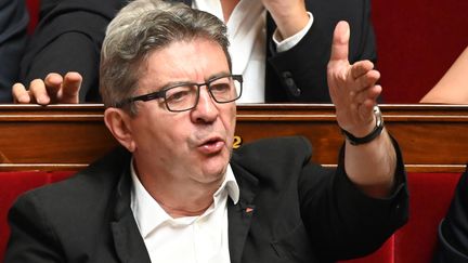 Le député La France insoumise des Bouches-du-Rhône, Jean-Luc Mélenchon, s'exprime le 25 juin 2019 à l'Assemblée nationale, à Paris. (DOMINIQUE FAGET / AFP)