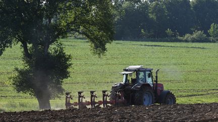 Agriculture : quand un céréalier passe au bio