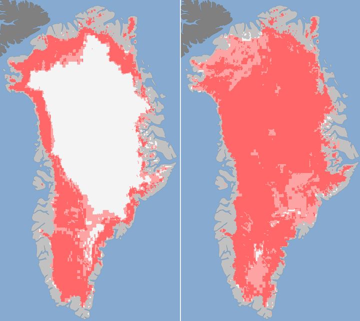 Fonte de la calotte glaci&egrave;re entre les 8 et 12 juillet 2012, observ&eacute;e par des satellites de la Nasa. En rose fonc&eacute;, les zones de fonte des glaces (d&eacute;tect&eacute;es par deux ou trois satellites). En rose clair, les zones de fonte probable (d&eacute;tect&eacute;es par au moins un satellite). (NASA / AFP)