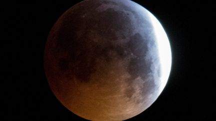 La Lune pendant l'éclipse lunaire, vue depuis Francfort (Allemagne) le 21 janvier 2019. (BORIS ROESSLER / DPA / AFP)