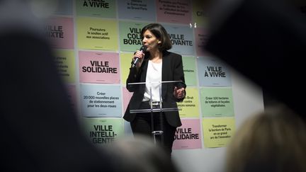 Anne Hidalgo, candidate PS &agrave; la mairie de Paris, le 25 f&eacute;vrier 2014. (  MAXPPP)