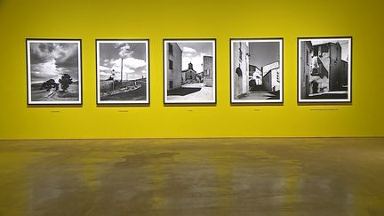 Exposition "Métamorphose" au Pavillon Populaire de Montpellier. (CAPTURE D'ÉCRAN FRANCE 3 / C. Monteil)