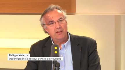 Philippe Vallette, océanographe et directeur général de Nausicaá, le 18 mai 2018 sur franceinfo. (FRANCEINFO / RADIOFRANCE)