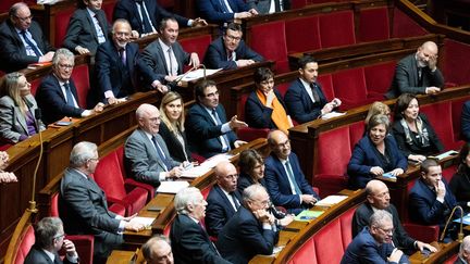 Les Républicains lourdement sanctionnés pour le manque de femmes dans leurs rangs (illustration à l'Assemblée nationale, le 7 janvier 2020). (CHRISTOPHE MORIN / MAXPPP)