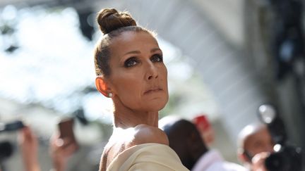 Céline Dion à Paris, le 2 juillet 2019. (LUCAS BARIOULET / AFP)