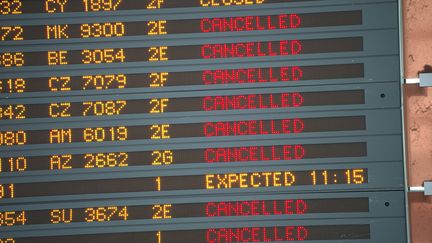 Vols annul&eacute;s au d&eacute;part de l'a&eacute;roport Roissy-Charles de Gaulle, le 11 juin 2013.&nbsp; (FRED DUFOUR / AFP)