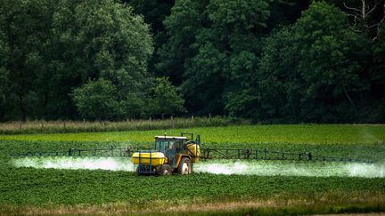 Un tracteur épand des pesticides dans un champ, dans le nord de la France, le 15 juin 2015. (PHILIPPE HUGUEN / AFP)