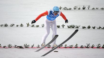 Le Fran&ccedil;ais Jason&nbsp;Lamy-Chappuis lors de l'&eacute;preuve de combin&eacute; nordique par &eacute;quipe, jeudi 20 f&eacute;vrier 2014, &agrave; Sotchi (Russie).&nbsp; (PETER PARKS / AFP)