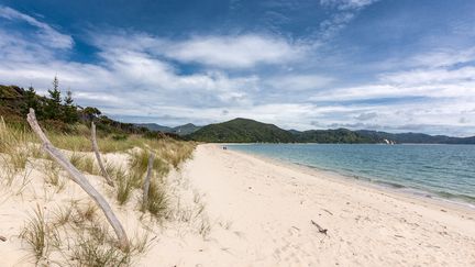 Photo non-datée d'une plage de Nouvelle-Zélande. (STR / BAYLEYS REAL ESTATE / AFP)