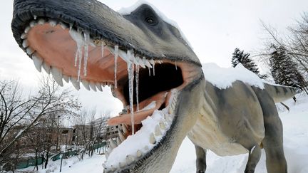 Une reproduction d'un Tyranosaurus Rex au zoo de Sarajevo (Bosnie-Herz&eacute;govine), le 8 f&eacute;vrier 2012. (ELVIS BARUKCIC / AFP)