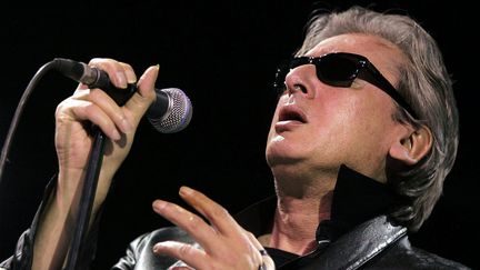 Alain Bashung au Paleo Festival en juillet 2004.
 (Fabrice Coffrini / MaxPPP)