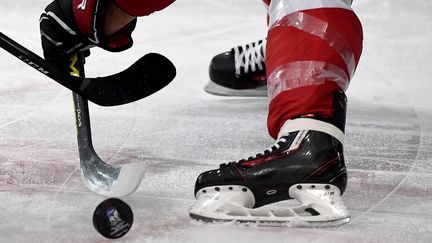 Les deux spectateurs ont été touchés par un palet de hockey sorti de l'aire de jeu. (illustration) (FRANCK FIFE / AFP)