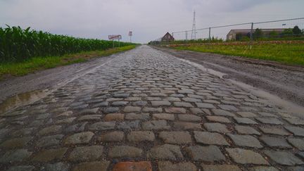  (Le secteur pavé du carrefour de l'arbre © RF/BS)