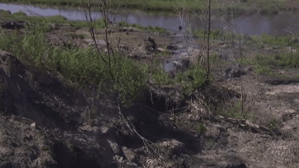 Gironde : un an après les incendies, la crainte reste toujours forte chez les riverains (France 3)