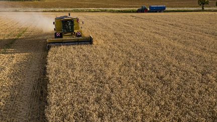 Un agriculteur dans son champ. Photo d'illustration. (JEAN-CHRISTOPHE VERHAEGEN / AFP)