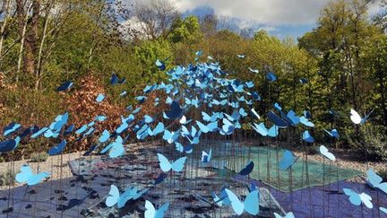 A Chaumont-sur-Loire, &quot;Le jardin bleu&quot; de Jérôme Houadec et Christian Houadec (avril 2012)
 (Alain Jocard (AFP))