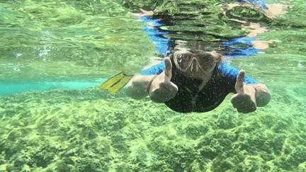 Sur la côte varoise, on peut découvrir la Méditerranée jamais auparavant. Un sous-marin aux parois de verre permet d'observer la biodiversité de la région, qui peut aussi être explorée en plongée sous-marine.