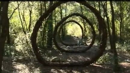 Alpes-Maritimes : les sculptures éphémères de la forêt