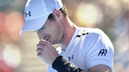 Andy Murray. (MASAHIRO SUGIMOTO / YOMIURI)